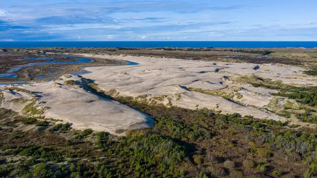 Luftfoto af naturområdet Råbjerg Mile med sand, klitter, spredt bevoksning og vandløb mod havet