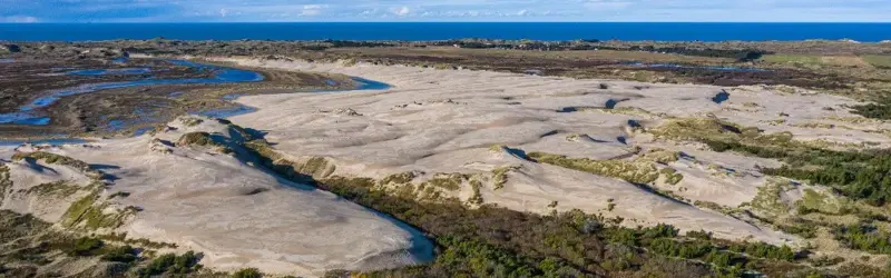 Klitheden Råbjerg Mile