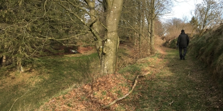 Billede af en mand, der går en tur ved Fejborg Bakke 