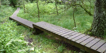 Gangsti af træ i Åsted Ådal