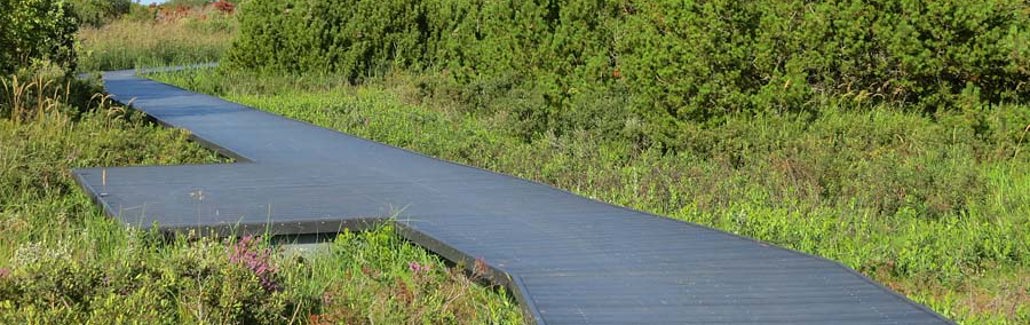 Billede af træbelagt sti på grenensporet